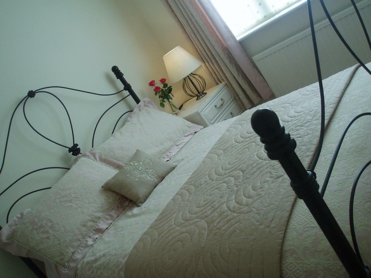 Copper Beech Rooms New Quay Extérieur photo