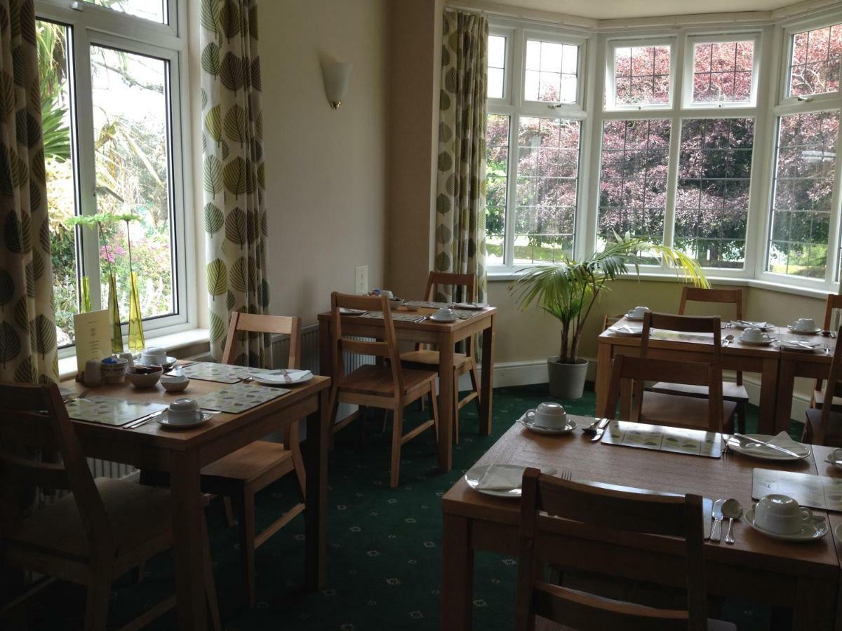 Copper Beech Rooms New Quay Extérieur photo